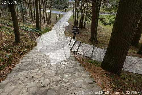Image of Small Pathway going trough the forest
