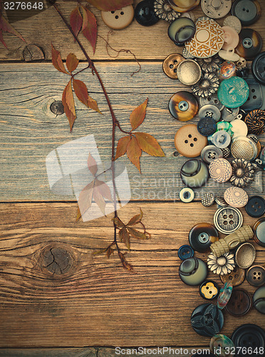 Image of placer vintage buttons with herbarium