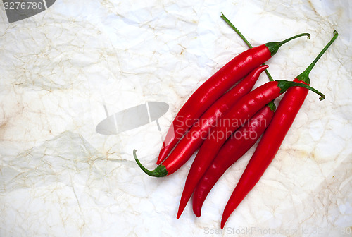 Image of chili pepper on a old paper surface