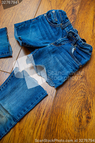 Image of cat old jeans