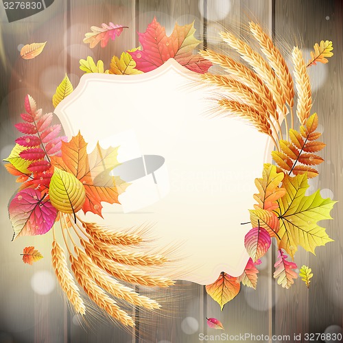 Image of Autumn background with colorful leaves. EPS 10