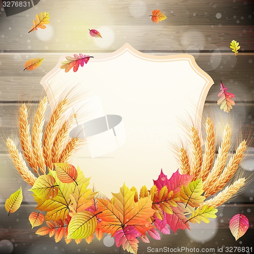 Image of Autumn background with colorful leaves. EPS 10