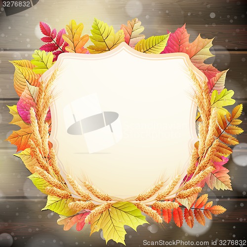 Image of Autumn background with colorful leaves. EPS 10