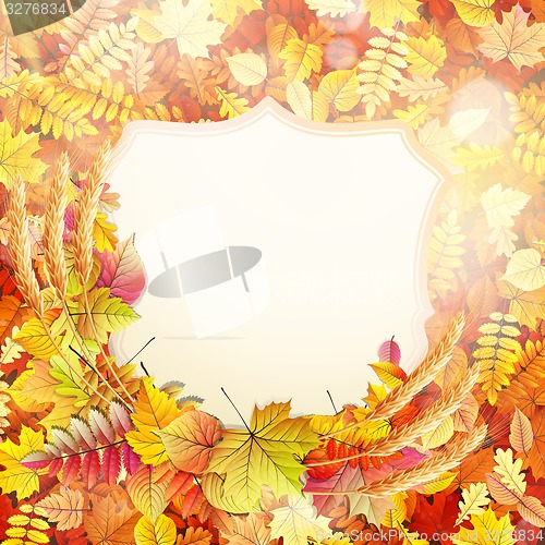 Image of Autumn background with colorful leaves. EPS 10