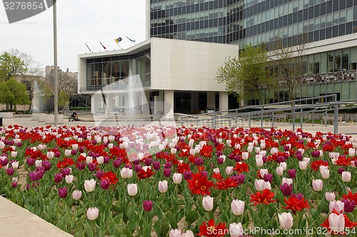 Image of City hall of Hamilton with tulips.