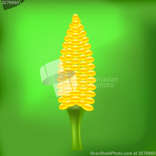 Image of Cob Corn