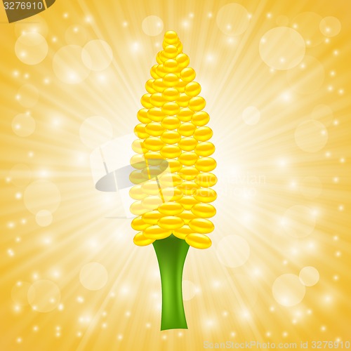 Image of Fresh Cob Corn