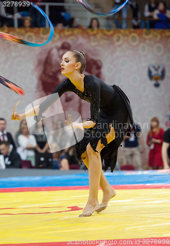 Image of Gymnastics show