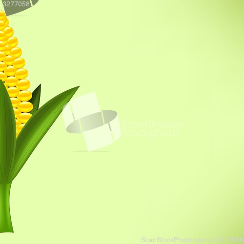 Image of Yellow Cob Corn