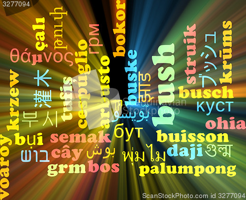Image of Bush multilanguage wordcloud background concept glowing