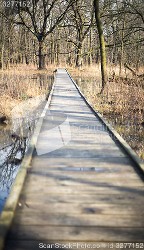 Image of Walking in a park