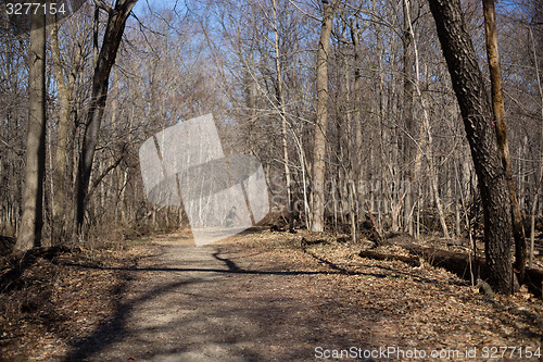 Image of Walking in a park