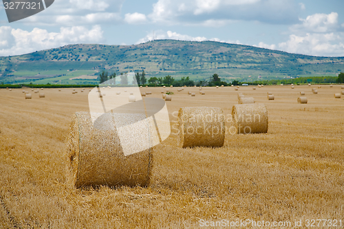 Image of Agriculture