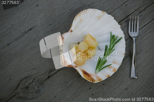 Image of Delicious sea scallop 