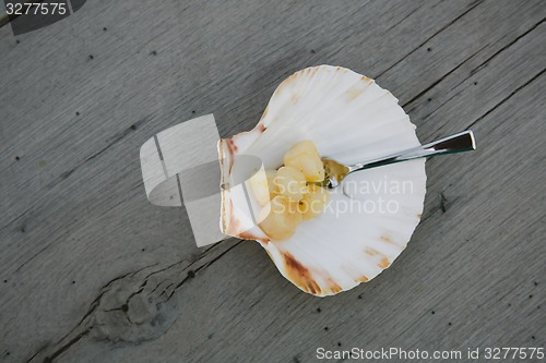 Image of Delicious sea scallop on wooden background