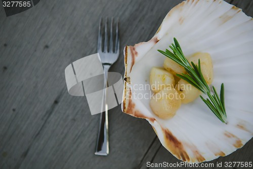 Image of Delicious sea scallop 