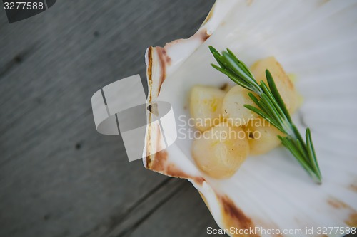 Image of Delicious sea scallop 