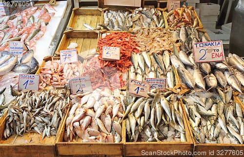 Image of Fish Market