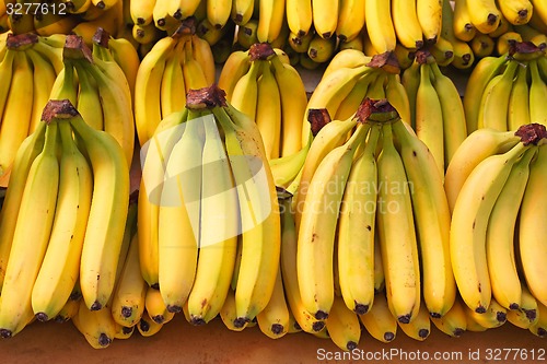 Image of Bananas