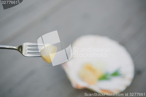 Image of Delicious sea scallop 