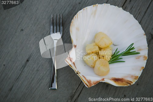 Image of Delicious sea scallop 