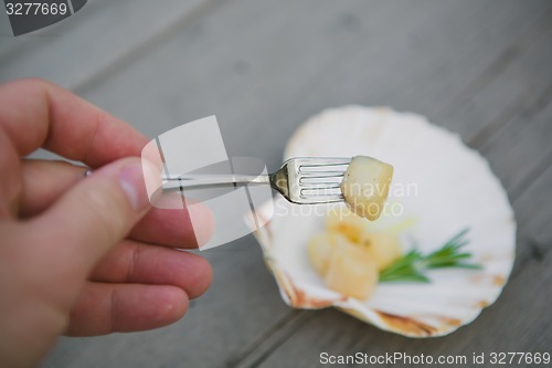 Image of Delicious sea scallop 