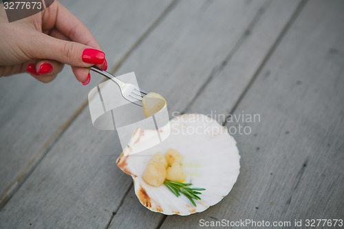 Image of Delicious sea scallop 