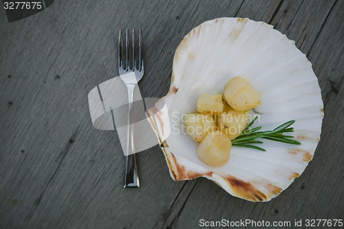 Image of Delicious sea scallop 