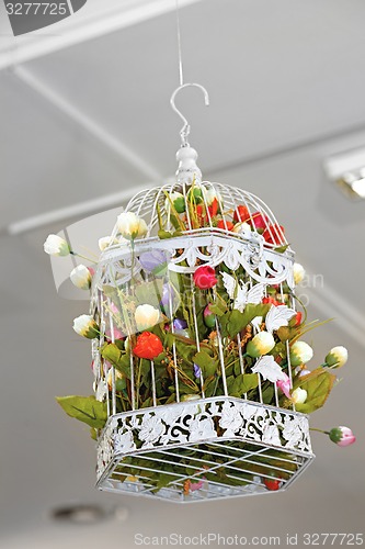 Image of Flowers in Cage