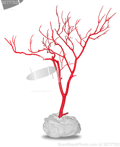 Image of Dead red tree