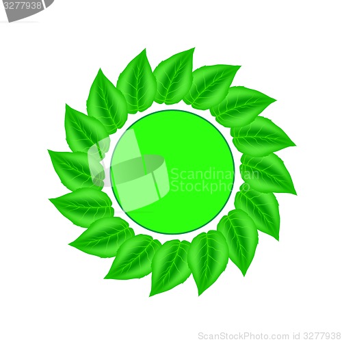 Image of Green Leaves