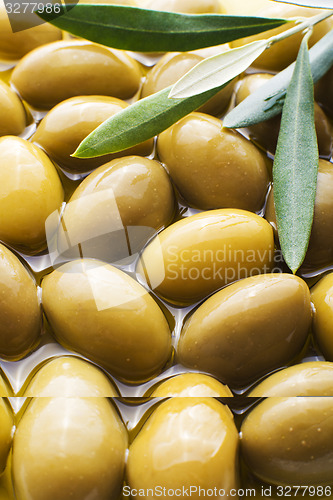 Image of Olive fruit