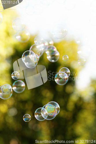 Image of Soap bubbles