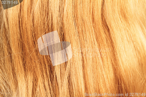 Image of Blonde hair