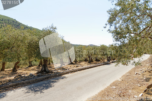 Image of Grece, Thassos