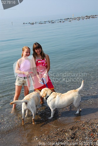 Image of Two girls playing with dogs