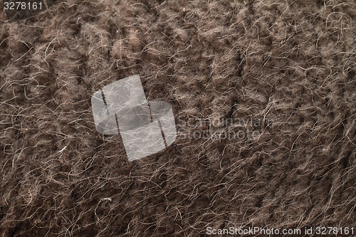 Image of Boar hairs