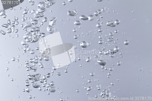 Image of Water bubbles