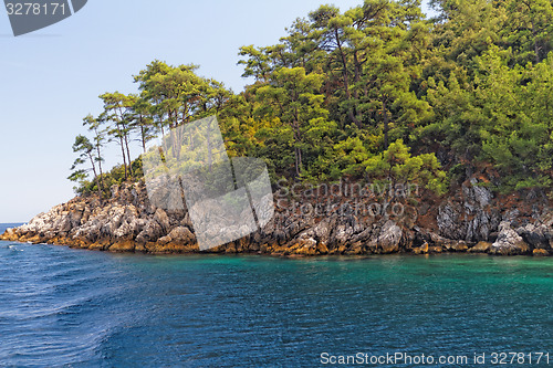 Image of Green island