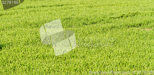 Image of Rural farming