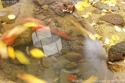 Image of Lake in autumn