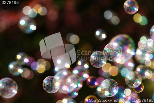 Image of Soap bubbles