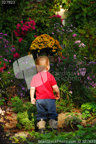 Image of Toddler garden