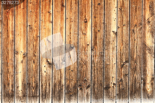 Image of colorful texture of spruce planks surface