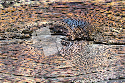 Image of interesting knot on oak wood 