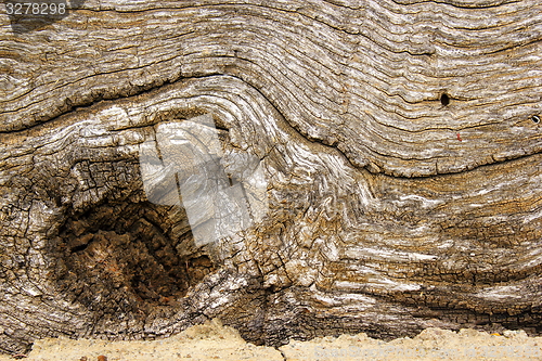 Image of ancient oak board surface