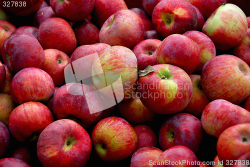 Image of Apples background