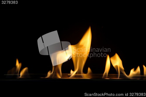 Image of Fire flame