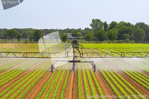 Image of Irrigation system