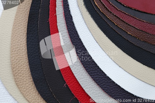Image of Leather swatch